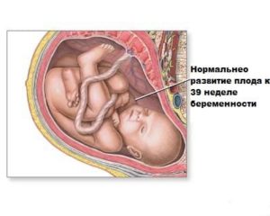 39 недель беременности и никаких предвестников родов