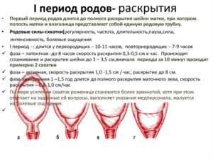 Сколько см полное раскрытие