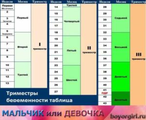 Миссфит календарь беременности по неделям