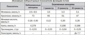 Белок в моче при беременности у кого был