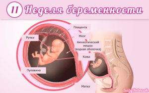 Сильная слабость на 11 неделе беременности