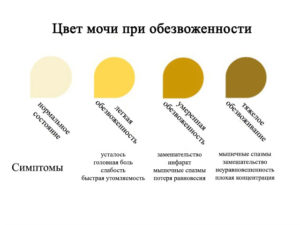 Моча при беременности на ранних сроках какого цвета