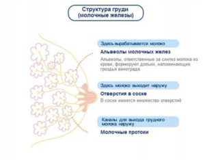 При беременности грудь болит по ночам