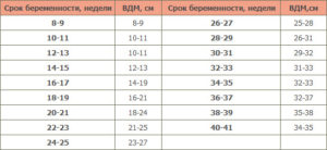 Высота дна матки при двойне по неделям