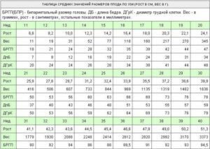 Размеры плода по неделям беременности по узи таблица