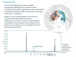 Анализ крови на определение пола ребенка на ранних