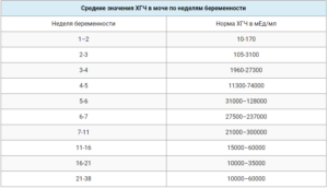 Норма хгч 3 недели