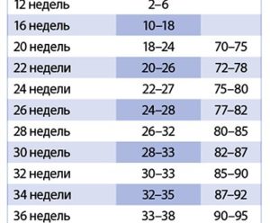 Окружность живота по неделям беременности у плода