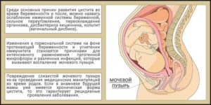 После родов болит мочевой пузырь