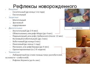 У новорожденного нет сосательного рефлекса