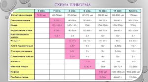 Прикорм 7 месячного ребенка