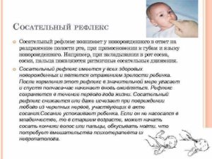 У новорожденного нет сосательного рефлекса