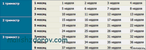 23 неделя беременности это сколько месяцев беременности