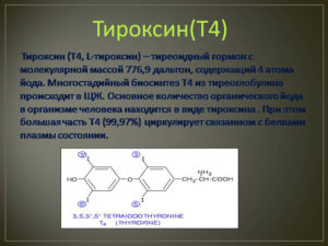 Тироксин гормон за что отвечает у женщин