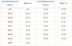 Высота дна матки при двойне по неделям