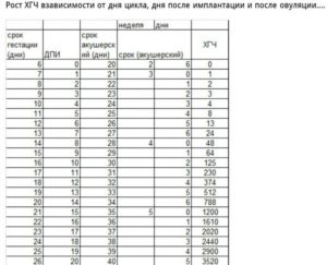 Рост хгч по дням после имплантации в моче