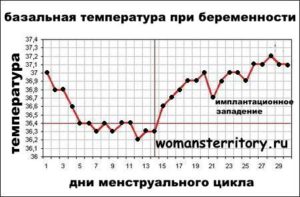Температура тела при зачатии