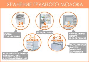 Сколько можно хранить размороженное грудное молоко в холодильнике