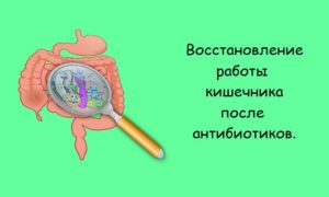 Как восстановить желудок после антибиотиков ребенку