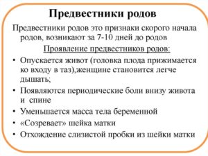 Предвестники родов 40 неделя