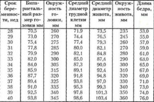 Окружность головки по неделям