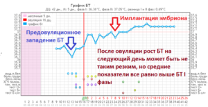 Имплантация эмбриона на какой день после овуляции статистика