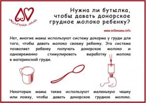 Что нужно есть чтобы было много грудного молока