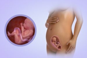 Как часто шевелится ребенок в 21 неделю беременности