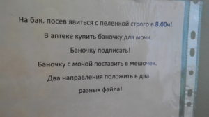 Как сдавать правильно посев на мочу при беременности