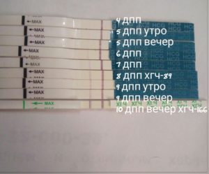4 день подсадки эмбрионов
