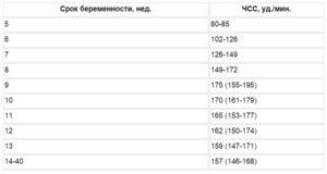 Сердцебиение малыша при беременности