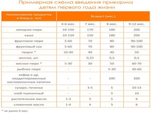 Со скольки месяцев ребенку можно давать первый прикорм
