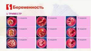 Первая неделя беременности как протекает