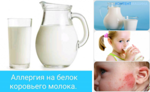 Аллергия на белок коровьего молока диета