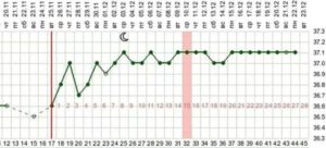 Температура при наступлении беременности
