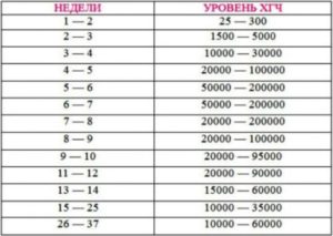 Хгч вырос а потом упал в начале беременности