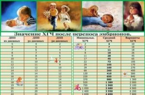 Хгч выше нормы на ранних сроках после эко