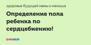 Как определить пол по сердцебиению