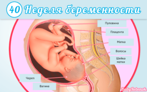 Почему на 41 неделе беременности не наступают роды