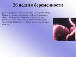 28 недель вес плода