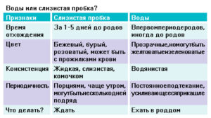 Отошла пробка через сколько начнутся роды у повторнородящих