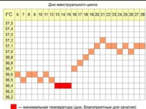 Как узнать когда будет овуляция при нерегулярном цикле