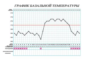 Базальная температура во время месячных при беременности