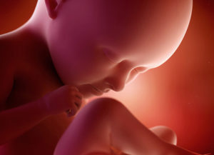 37 недель беременности развитие ребенка