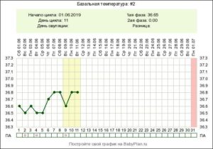 Может ли на 7 день цикла быть овуляция