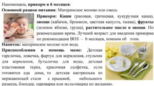 Прикорм на 7 месяце