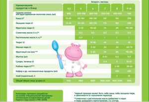 Как правильно вводить прикорм в 6 месяцев ребенку