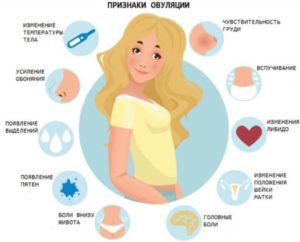 Самочувствие во время овуляции