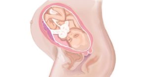 Оргазм на 37 неделе беременности