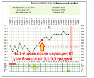 После овуляции второй день